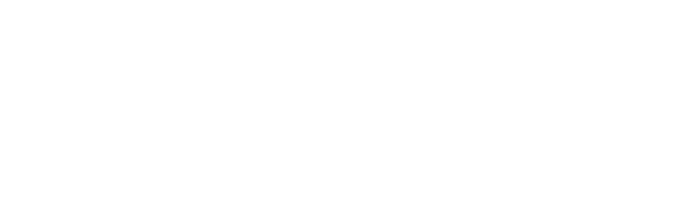 Fuzza Log